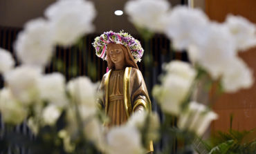 Catholics get chance to celebrate, think about Mary with new feast day