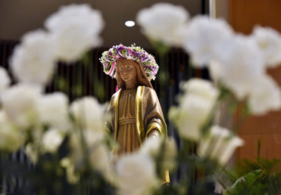 Catholics get chance to celebrate, think about Mary with new feast day