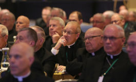 Bishops vote to let Vatican inquiry proceed without commenting