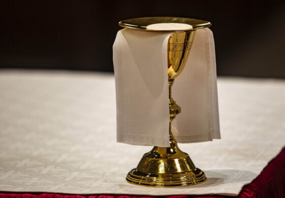 Father Bayer: Eucharist