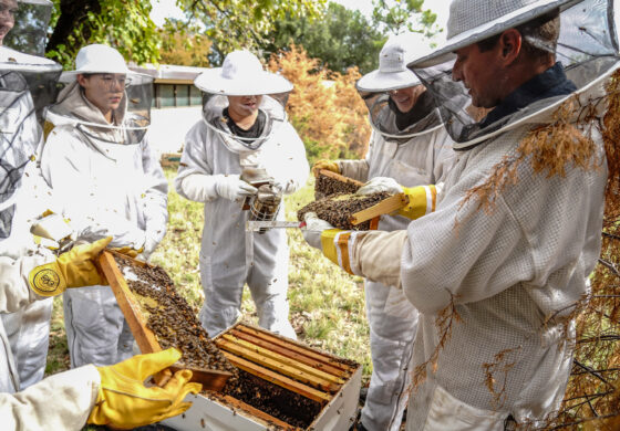 A campus abuzz: Bees arrive at Cistercian Preparatory School